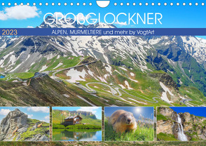 Großglockner, Alpen, Murmeltiere & mehr by VogtArt (Wandkalender 2023 DIN A4 quer) von VogtArt