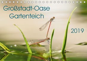 Großstadt-Oase Gartenteich (Tischkalender 2019 DIN A5 quer) von Wibke Hildebrandt,  Anne