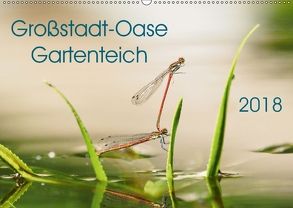 Großstadt-Oase Gartenteich (Wandkalender 2018 DIN A2 quer) von Wibke Hildebrandt,  Anne