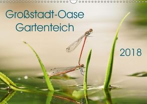 Großstadt-Oase Gartenteich (Wandkalender 2018 DIN A3 quer) von Wibke Hildebrandt,  Anne