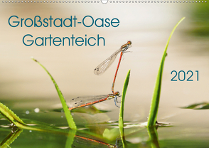 Großstadt-Oase Gartenteich (Wandkalender 2021 DIN A2 quer) von Wibke Hildebrandt,  Anne