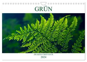 GRÜN . Die Kraft der Natur (Wandkalender 2024 DIN A4 quer), CALVENDO Monatskalender von Michel / CH,  Susan