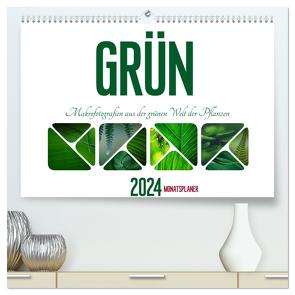 Grün Makrofotografien aus der grünen Welt der Pflanzen als Monatsplaner (hochwertiger Premium Wandkalender 2024 DIN A2 quer), Kunstdruck in Hochglanz von d'Angelo - soulimages,  Kirsten