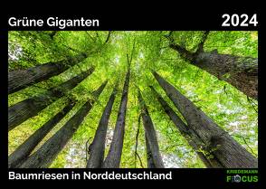 Grüne Giganten – Baumriesen in Norddeutschland von Kriedemann,  Karsten