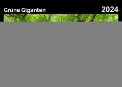 Grüne Giganten – Baumriesen in Norddeutschland von Kriedemann,  Karsten