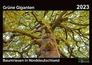 Grüne Giganten – Baumriesen in Norddeutschland von Kriedemann,  Karsten