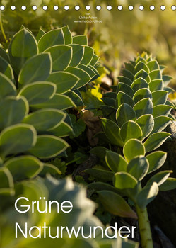 Grüne Naturwunder (Tischkalender 2023 DIN A5 hoch) von Adam,  Ulrike