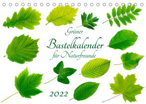 Grüner Bastelkalender für Naturfreunde (Tischkalender 2022 DIN A5 quer) von Vahldiek,  Carola