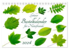 Grüner Bastelkalender für Naturfreunde (Tischkalender 2024 DIN A5 quer), CALVENDO Monatskalender von Vahldiek,  Carola