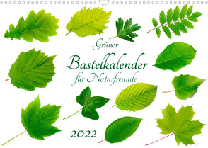 Grüner Bastelkalender für Naturfreunde (Wandkalender 2022 DIN A3 quer) von Vahldiek,  Carola