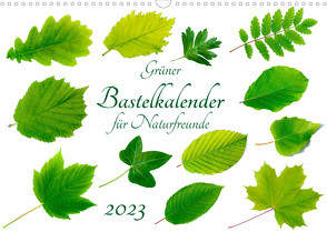 Grüner Bastelkalender für Naturfreunde (Wandkalender 2023 DIN A3 quer) von Vahldiek,  Carola