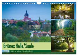 Grünes Halle/Saale – Meine wilde Händelstadt (Wandkalender 2024 DIN A4 quer), CALVENDO Monatskalender von Wasilewski,  Martin