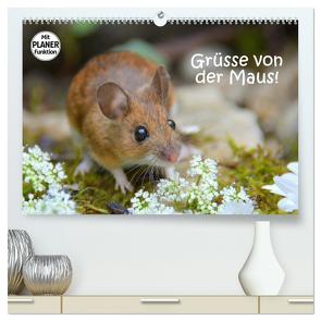 Grüsse von der Maus! (hochwertiger Premium Wandkalender 2024 DIN A2 quer), Kunstdruck in Hochglanz von GUGIGEI,  GUGIGEI