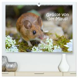 Grüsse von der Maus! (hochwertiger Premium Wandkalender 2024 DIN A2 quer), Kunstdruck in Hochglanz von GUGIGEI,  GUGIGEI