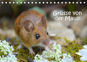 Grüsse von der Maus! (Tischkalender 2023 DIN A5 quer) von GUGIGEI