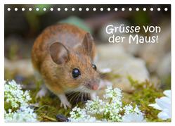 Grüsse von der Maus! (Tischkalender 2024 DIN A5 quer), CALVENDO Monatskalender von GUGIGEI,  GUGIGEI