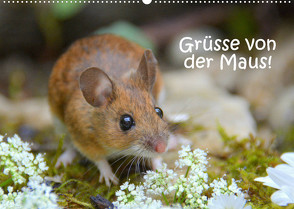 Grüsse von der Maus! (Wandkalender 2022 DIN A2 quer) von GUGIGEI