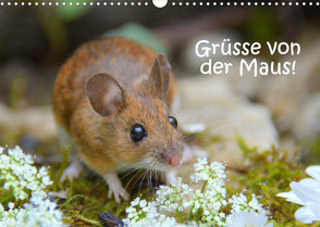 Grüsse von der Maus! (Wandkalender 2022 DIN A3 quer) von GUGIGEI