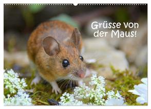 Grüsse von der Maus! (Wandkalender 2024 DIN A2 quer), CALVENDO Monatskalender von GUGIGEI,  GUGIGEI