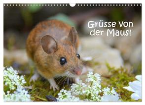 Grüsse von der Maus! (Wandkalender 2024 DIN A3 quer), CALVENDO Monatskalender von GUGIGEI,  GUGIGEI