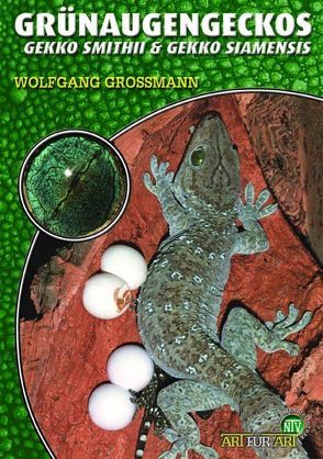 Grünaugengeckos von Grossmann,  Wolfgang