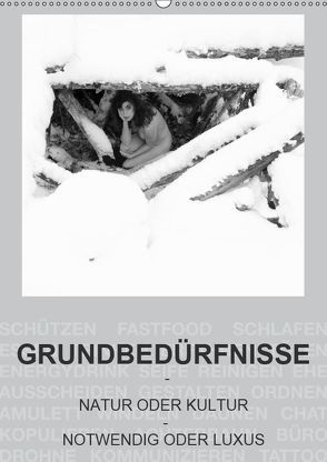 GRUNDBEDÜRFNISSE – NATUR ODER KULTUR – NOTWENDIG ODER LUXUS (Wandkalender 2019 DIN A2 hoch) von fru.ch