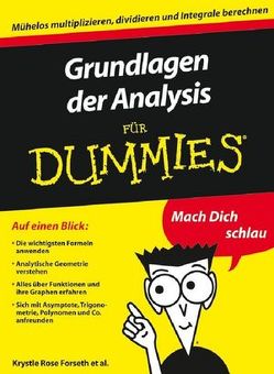 Grundlagen der Analysis für Dummies von Burger,  Christopher, Forseth,  Krystle Rose, Gilman,  Michelle Rose, Muhr,  Judith, Rumsey,  Deborah J., Ryan,  Mark