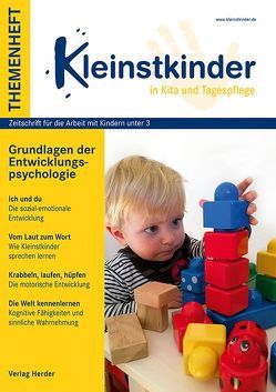 Grundlagen der Entwicklungspsychologie von Roos,  Jeanette, Sachse,  Steffi