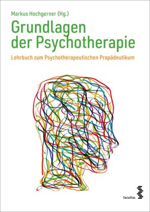 Grundlagen der Psychotherapie von Hochgerner,  Markus