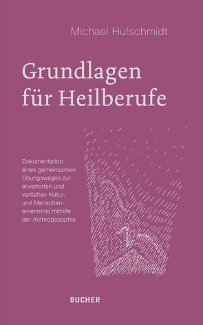 Grundlagen für Heilberufe von Hufschmidt,  Michael