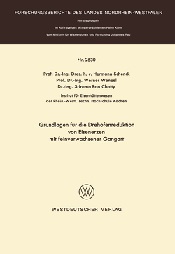 Grundlagen für die Drehofenreduktion von Eisenerzen mit feinverwachsener Gangart von Schenck,  Hermann