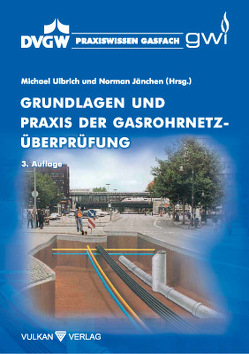 Grundlagen und Praxis der Gasrohrnetzüberprüfung von Jänchen,  Norman, Ulbrich,  Michael