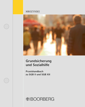 Grundsicherung und Sozialhilfe von Mrozynski,  Peter