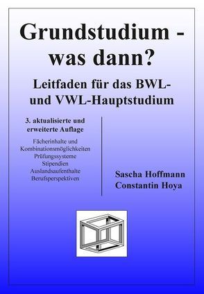 Grundstudium – was dann? Leitfaden für das BWL- und VWL-Hauptstudium von Hoffmann,  Sascha, Hoya,  Constantin