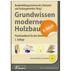 Grundwissen moderner Holzbau von Bundesbildungszentrum des Zimmerer- und Ausbaugewerbes