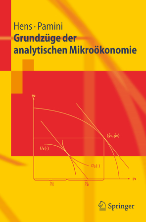 Grundzüge der analytischen Mikroökonomie von Hens,  Thorsten, Pamini,  Paolo