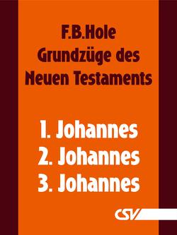 Grundzüge des Neuen Testaments – 1., 2. & 3. Johannes von Hole,  F.B.