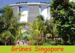 Grünes Singapore (Posterbuch DIN A2 quer) von Lindner,  Ulrike