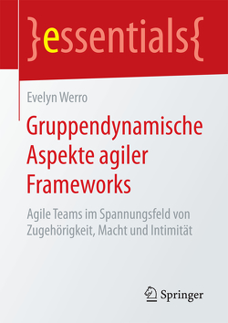 Gruppendynamische Aspekte agiler Frameworks von Werro,  Evelyn