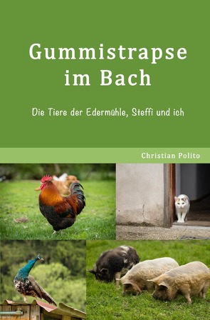 G’schichten aus der Edermühle / Gummistrapse im Bach von Polito,  Christian