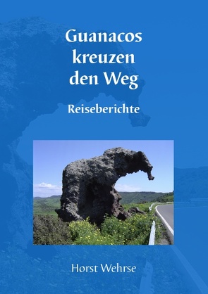 Guanacos kreuzen den Weg von Wehrse,  Horst