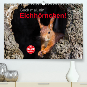 Guck mal, ein Eichhörnchen! (Premium, hochwertiger DIN A2 Wandkalender 2023, Kunstdruck in Hochglanz) von Brackhan,  Margret