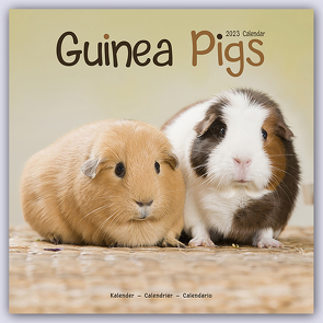 Guinea Pigs – Meerschweinchen 2023 – 16-Monatskalender
