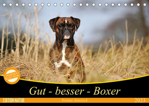 Gut – besser – Boxer (Tischkalender 2023 DIN A5 quer) von Janetzek,  Yvonne