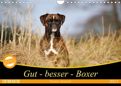 Gut – besser – Boxer (Wandkalender 2023 DIN A4 quer) von Janetzek,  Yvonne