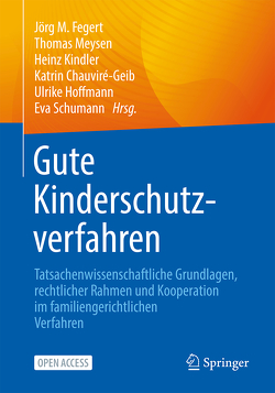 Gute Kinderschutzverfahren von Chauviré-Geib,  Katrin, Fegert,  Jörg M, Hoffmann,  Ulrike, Kindler,  Heinz, Meysen,  Thomas, Schumann,  Eva