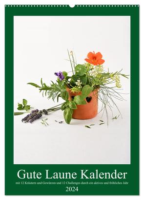 Gute Laune mit 12 Aufgaben und 12 Kräutern (Wandkalender 2024 DIN A2 hoch), CALVENDO Monatskalender von Mejrowski,  Daniela