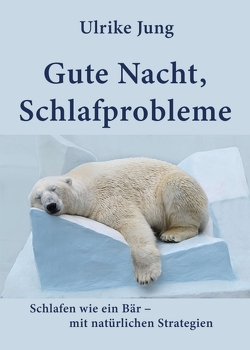 Gute Nacht, Schlafprobleme von Jung,  Ulrike