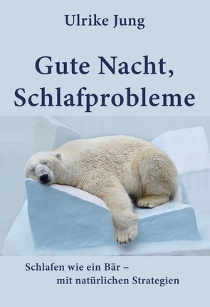 Gute Nacht, Schlafprobleme von Jung,  Ulrike