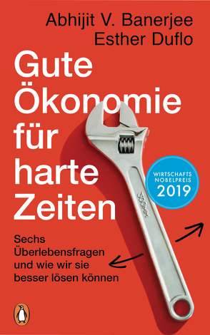 Gute Ökonomie für harte Zeiten von Banerjee,  Abhijit V., Duflo,  Esther, Gebauer,  Stephan, Schlatterer,  Heike, Schmidt,  Thorsten